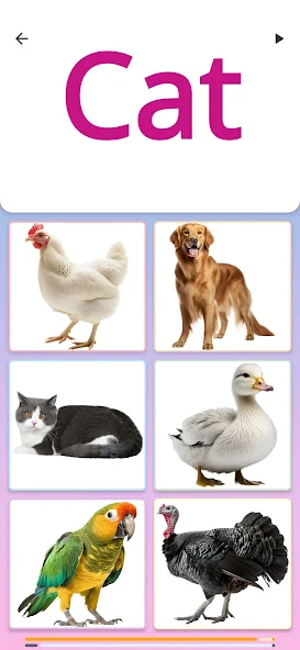 Children's Quiz screenshot