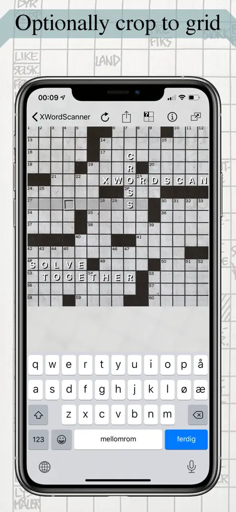 Crossword Scanner screenshot