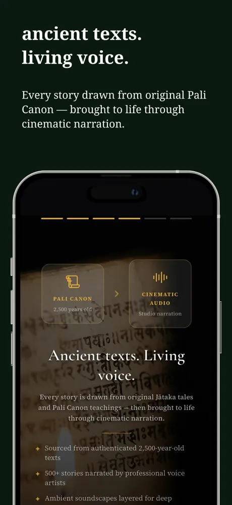 Enso: Zen Buddhist Meditation screenshot