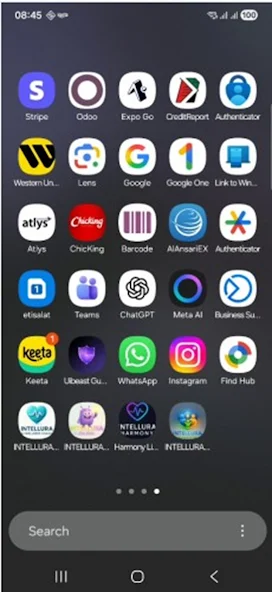 INTELLURA PARENTS screenshot