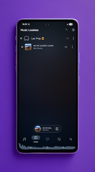 Music Lossless - Music Player screenshot