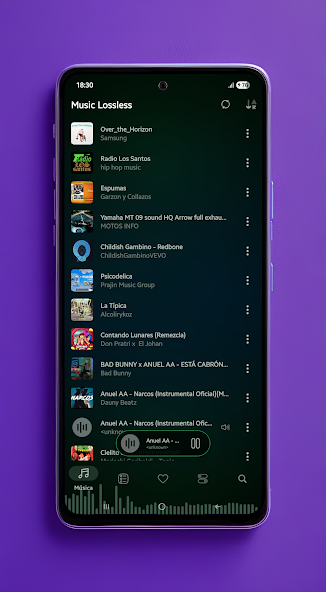 Music Lossless - Music Player screenshot