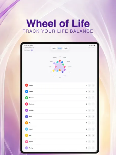 My Insights: Balance Wheel screenshot
