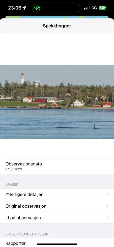 Norwegian Safari screenshot