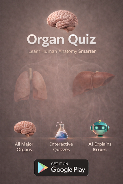 Organs Quiz screenshot