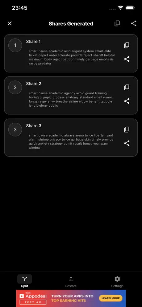 Shamir Safe screenshot