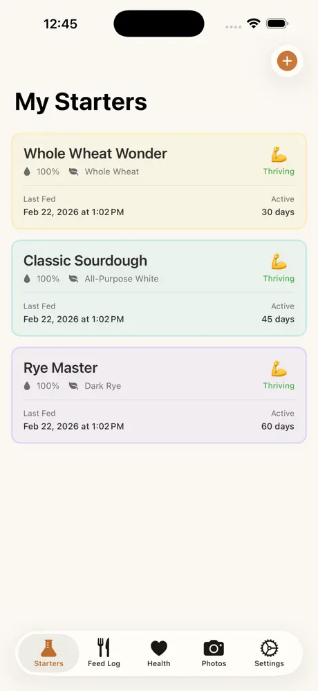 The Daily Crumb screenshot