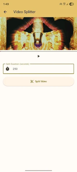 Video Splitter screenshot