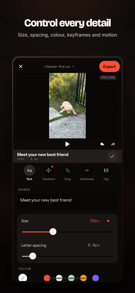 Vidmoat: AI Video Editor screenshot